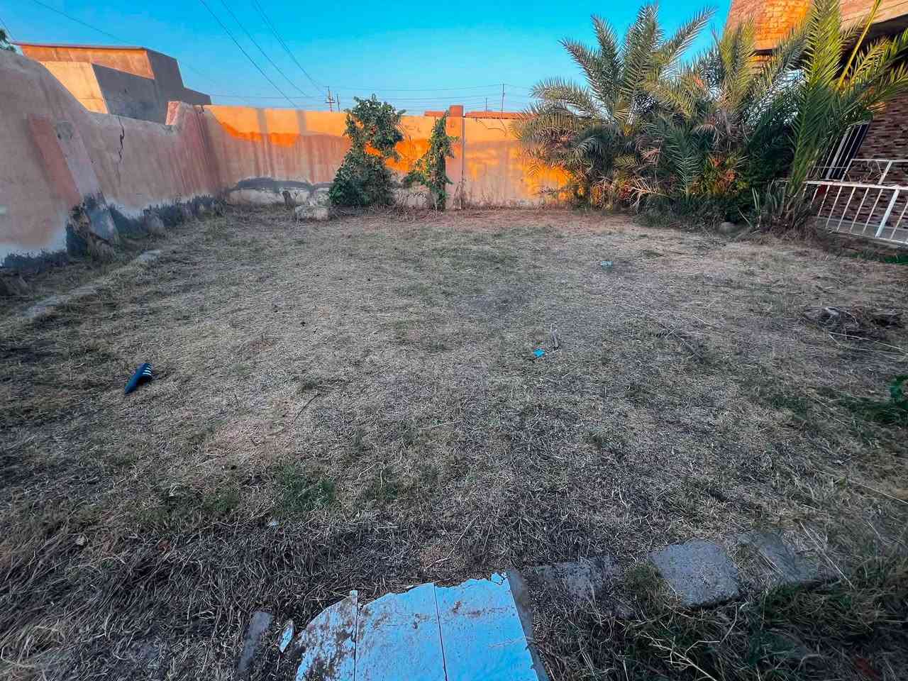 السلام عليكم
يوجد قص دغل وتعديل حدايق 

***********
