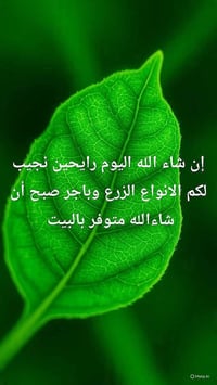 شتلات • أشجار مثمرة • قرب جامع الحكيم