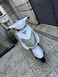 سكنس فحل • نفخ • ضمان
