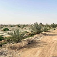 الرميثه • ١٠ دونم • ماء سقي