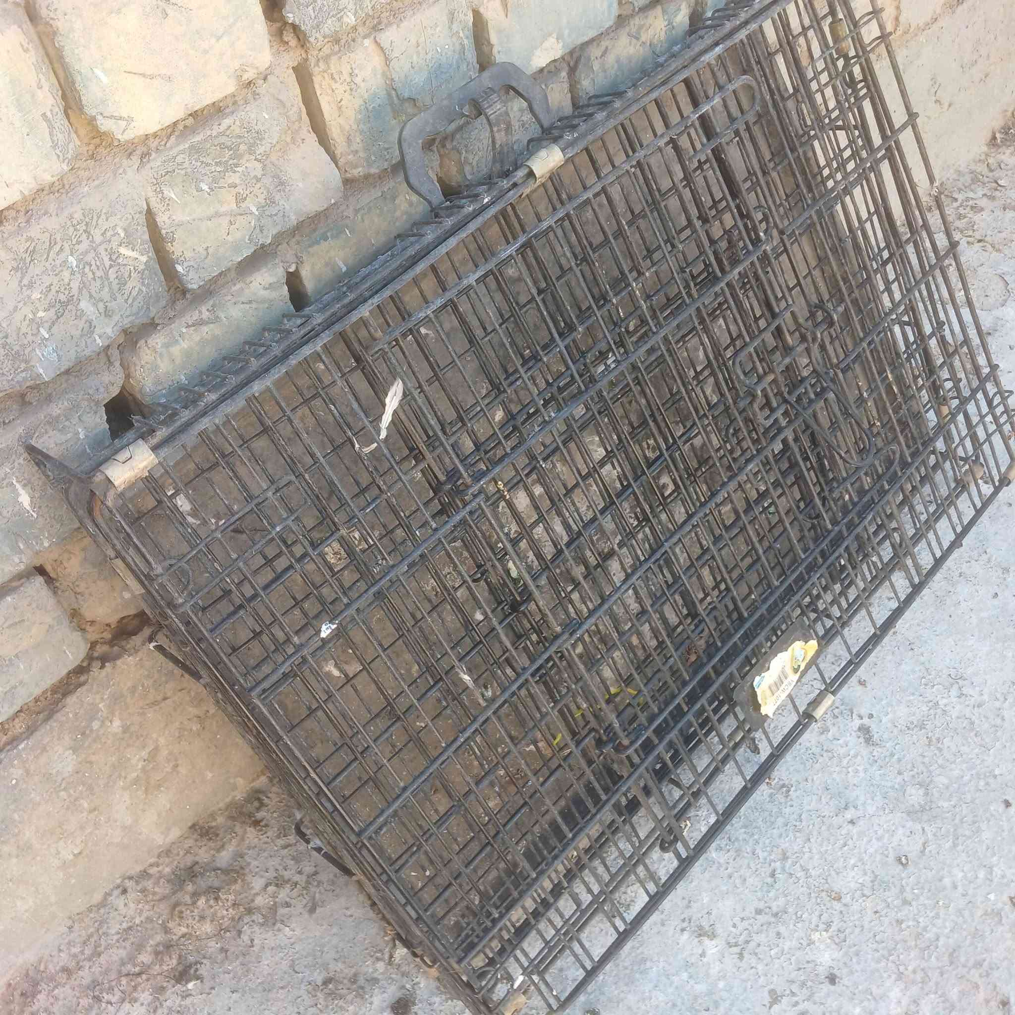 متاح .
قفص حديد عرض مترين ارتفاع متر داير ميدور شبج لحيم يدات جانبيه سكف جينكوة  .
وقفص يرهم مال قطط بغبغا كوكتيل خانه عرض ٦٠ ارتفاع ٤٥ نزال ٣٥  ثنينهن ب ١٠٠ بغداد المعامل ***********
