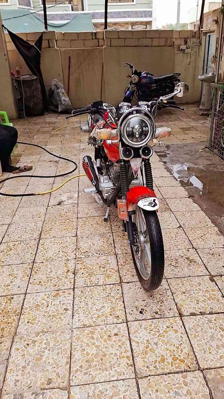 دايون • جديدة • مكفولة