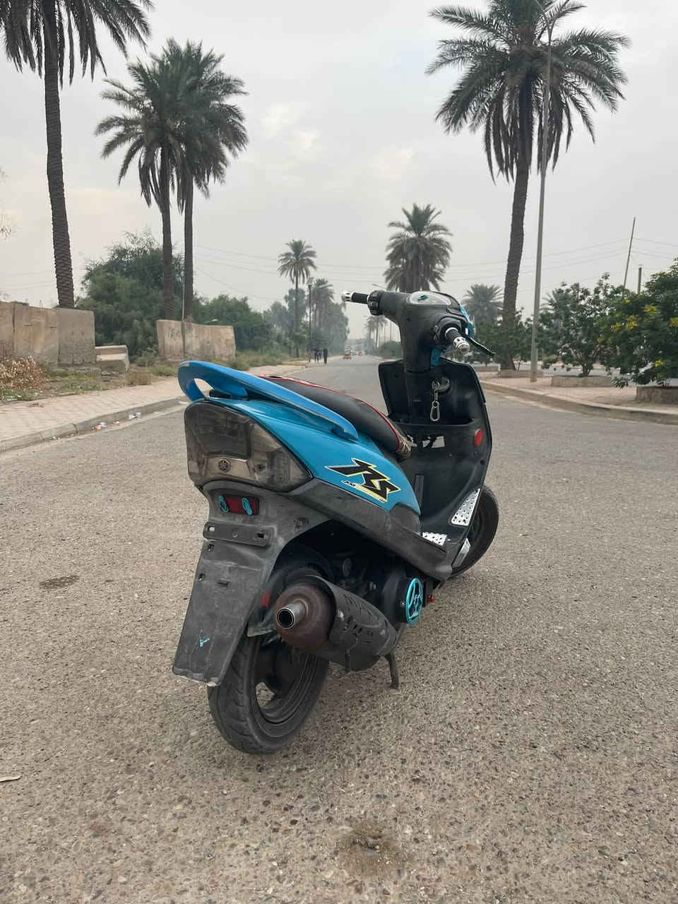 ماكس عدلة • جديدة • كفرات بلادية