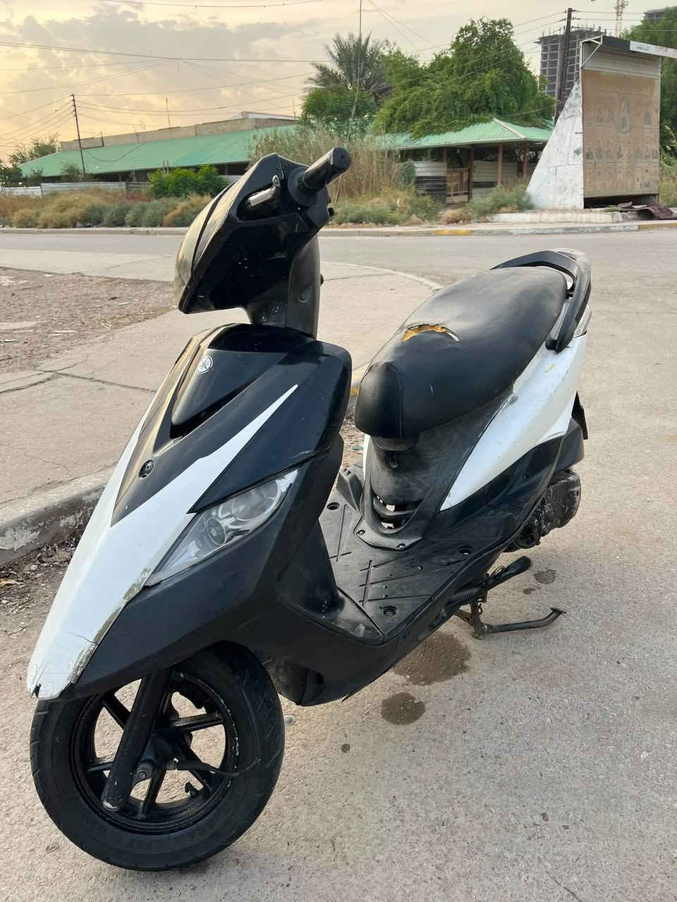 ثعلب • ١٤٠ • مابيه نقص