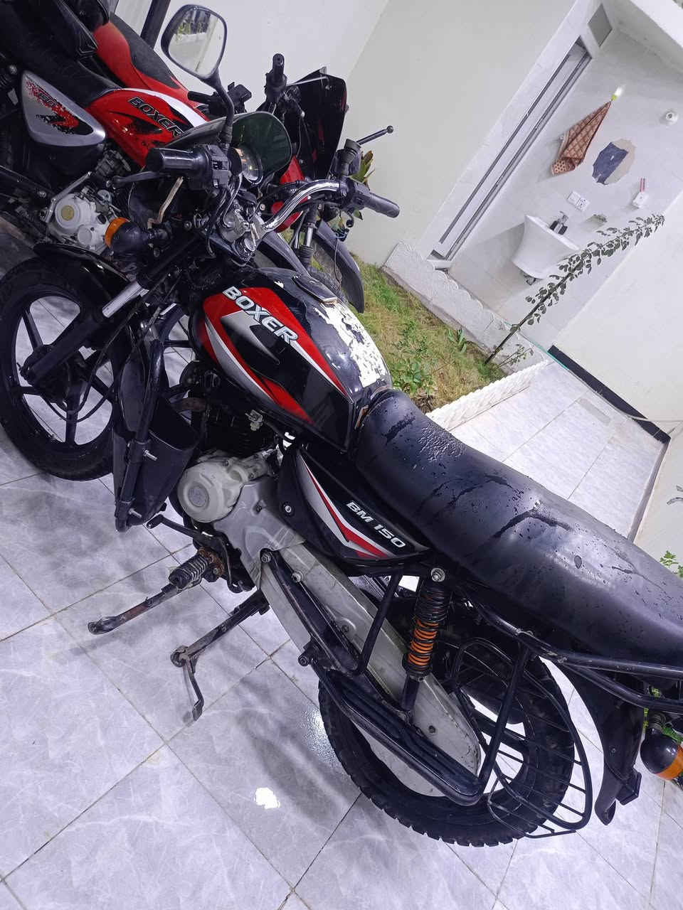 بوكسر 2021 وراق ضايعه نضيف محرك اخرس ناعم نقص باتري مكان بعقوبه كاطون رازي سعر 750 بي مجال قليل ***********
