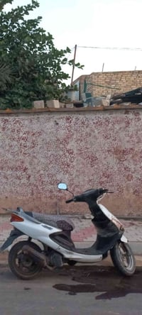 اكزز • كايمه • كربلاء