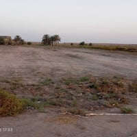 قرب ابوروايه • دونمين ونص • طابو زراعي