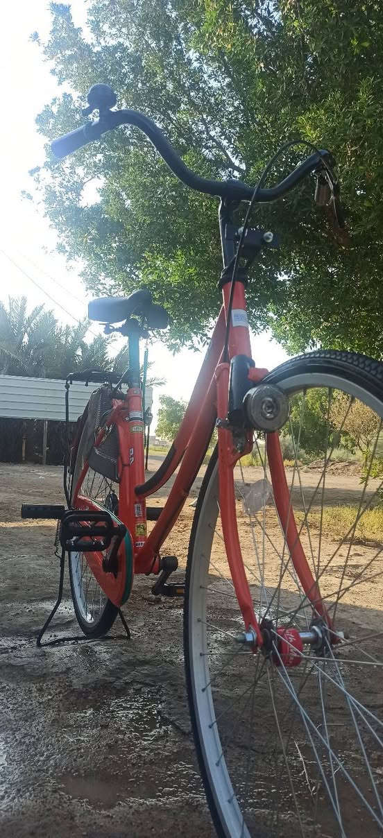 بايسكل BDللبيع ب150وبي مجال جاملغات وبريك امامي موجود نظيف يخبل من كل نواحي مفوووول بي صفاره صوتها عالي للتواصل خاص او على الرقم ***********
