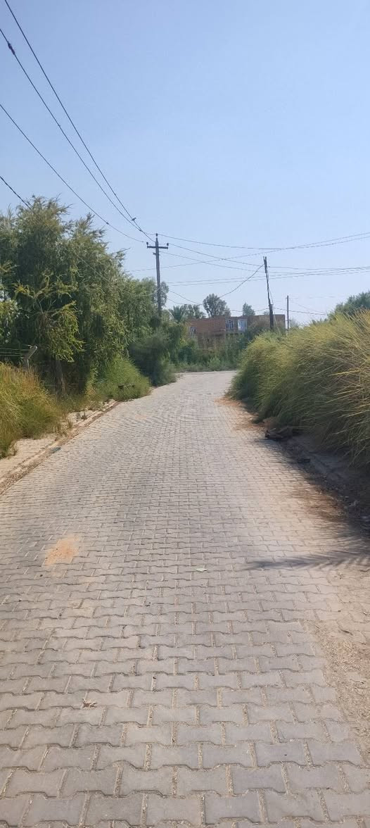 دونم للبيع الواجهه 43/يوجد في نخيل حمال شكري وحلاوي ويوجد كافه الخدمات ماء سقي وماء أسأله وكهرباء وشارع تبليط سند 25مع بيت مساحه البيت 500متر ملاحضه الدونم ينباع كامل أو نص حسب الشراي العنوان الديوانيه حي الأمين نزلت مجمع الأمير السكني للاستفسار اكثر أتصل ***********

