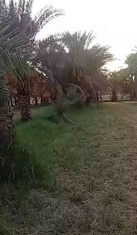 ١٠٠٠م • واجهة ٢٠م • طابو زراعي
