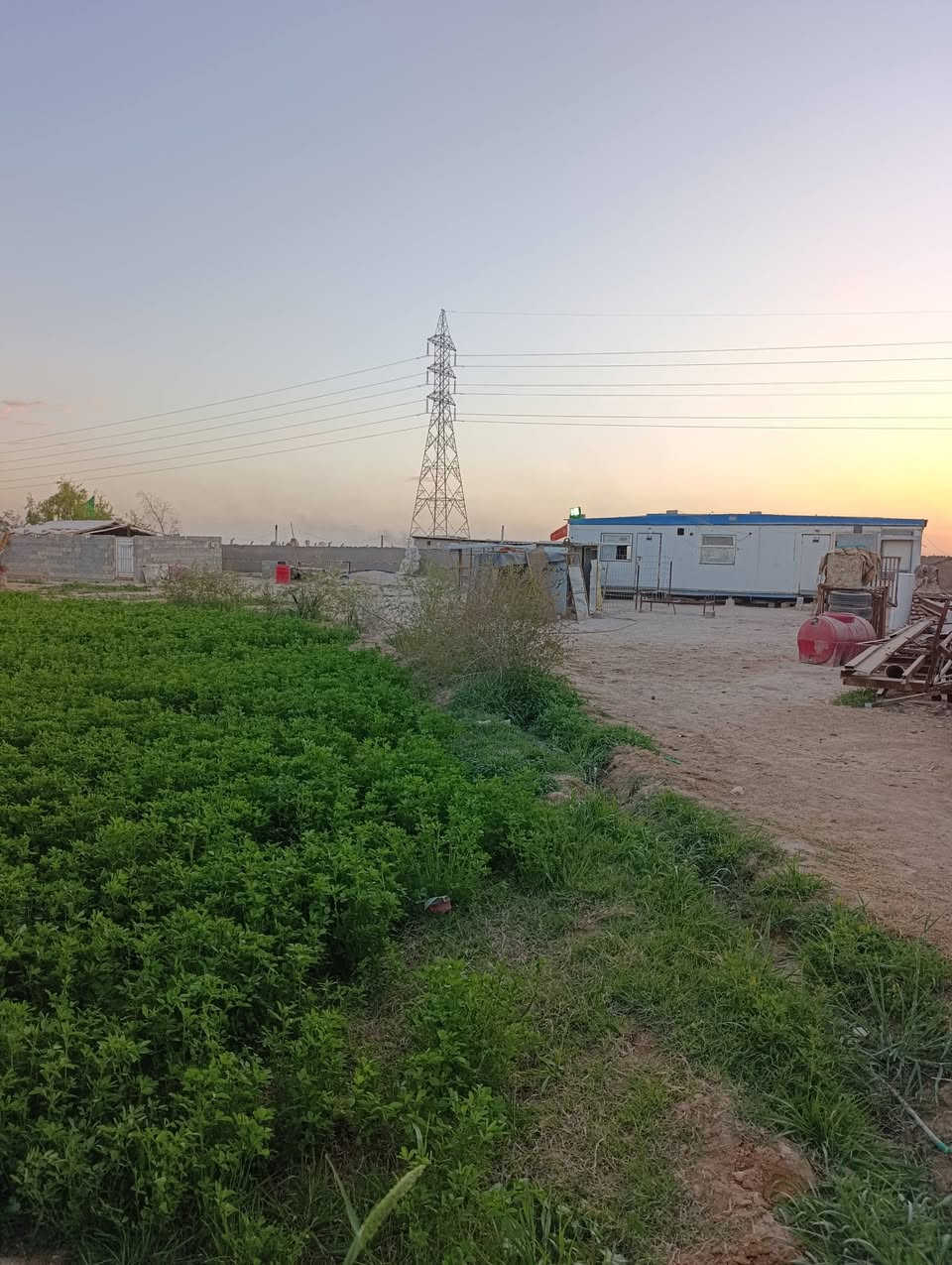 السلام عليكم مزرعه للبيع مساحتها 2 دونم و500 متر المزرعه جاهزه مزروعه تحتوي على حقل للحلال عجوله او غير ذلك من الحلال وايضا كرفان يحتوي على غرفتين خدمات موجوده ماء وكهرباء حجم البير البوري ابو العشره ماطور غطاس ابو العشره حصان  المكان نجف شارع كربلاء عمود 176.  اللي يحب يشتري يدلل السعر مناسب  ***********
