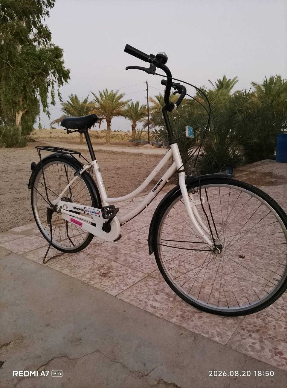 السلام عليكم باسكل للبيع جديد كلش احلى من الصوره مكاني بابل تريد شوملي أو مدحتيه متواجد  السعر خاص***********

