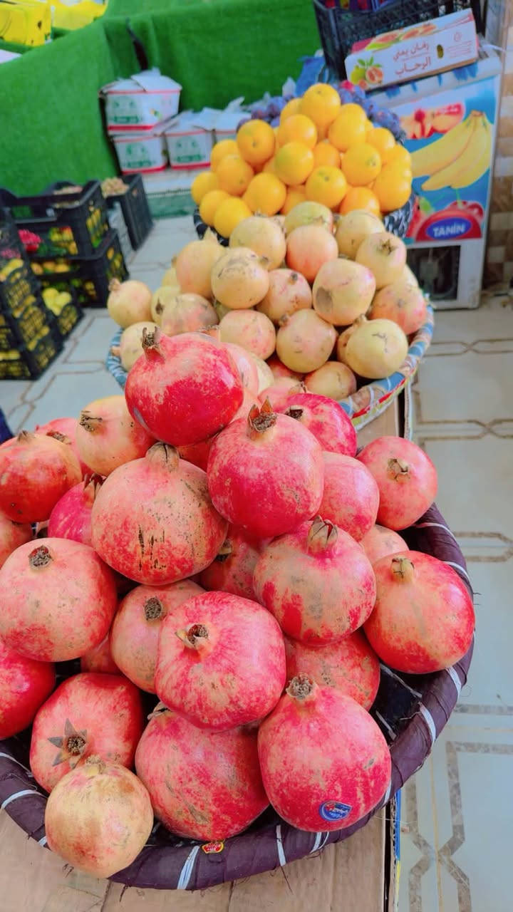 مسواك درجه اولى • توصيل راوه • ٢٢/١٠/٢٠٢٦