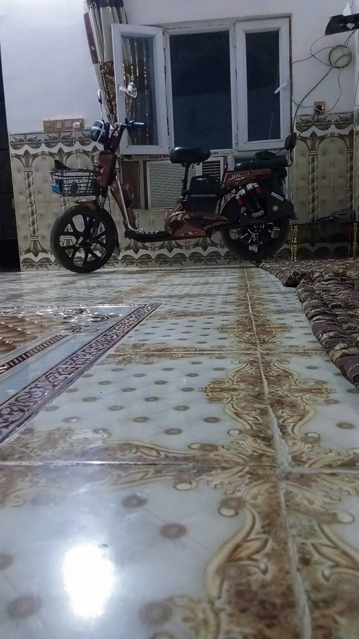 السلام عليكم
دراجه شحن HIS 

1500واط60v 

بطاريات عدد5. شرط البطاريات فول والشاحنه فول البارحه شادهن باسكل بمعنه الكلمه بطاريه 17انبير الوحده فول 

نضيف وجديد مابي اي نقص  

المكان العلم

 استفسار اكثر ***********بصمات ثنين قفل سرقه جهاز انذار سعر 475وبي مجال الطيبين
