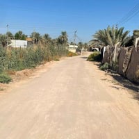الزبيلية شارع الرابط • ٢١٥٠م • طابو