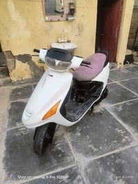 فراشة • فحل • نضيفه