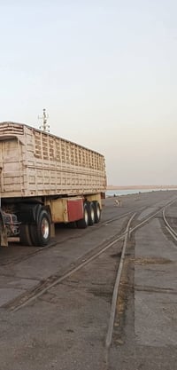 عربانة • ١٢٫٥م • تاير ١٣