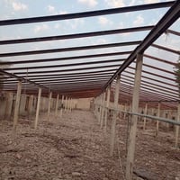 حديد للبيع حقل طول ٥٠ متر والعرض ١٢ شيش مايقارب طنين وربع والزاويه ١٢٠...