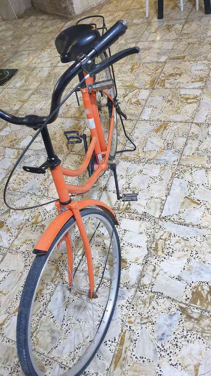 بايسكل • نضيف • بابل شارع ٨٠