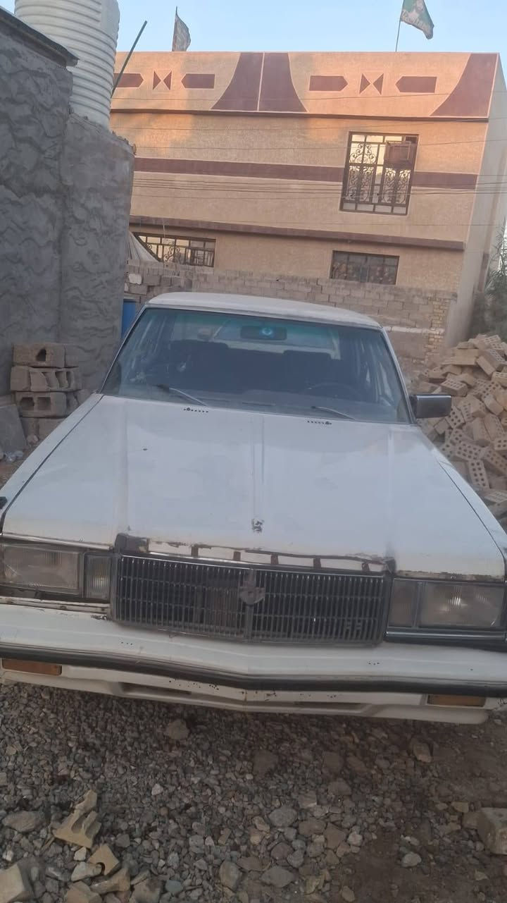 سوبر٨٢رقم ديالى دولي مكاني بغدادجسرديالى رايدهاب ١٨ورقه وشراي بيهامجال ***********
