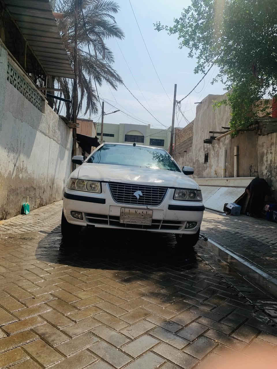 أبيض • ما مصبوغ • مكينة وكير زينة