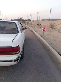 شيزر • مكينه وكير جديد • رقم ميسان