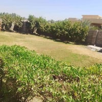 بيت يجار معا كاع 7دونم متوفر ماء وكهرباء وسحب ومادرس وتبليط لباب لبيت ...