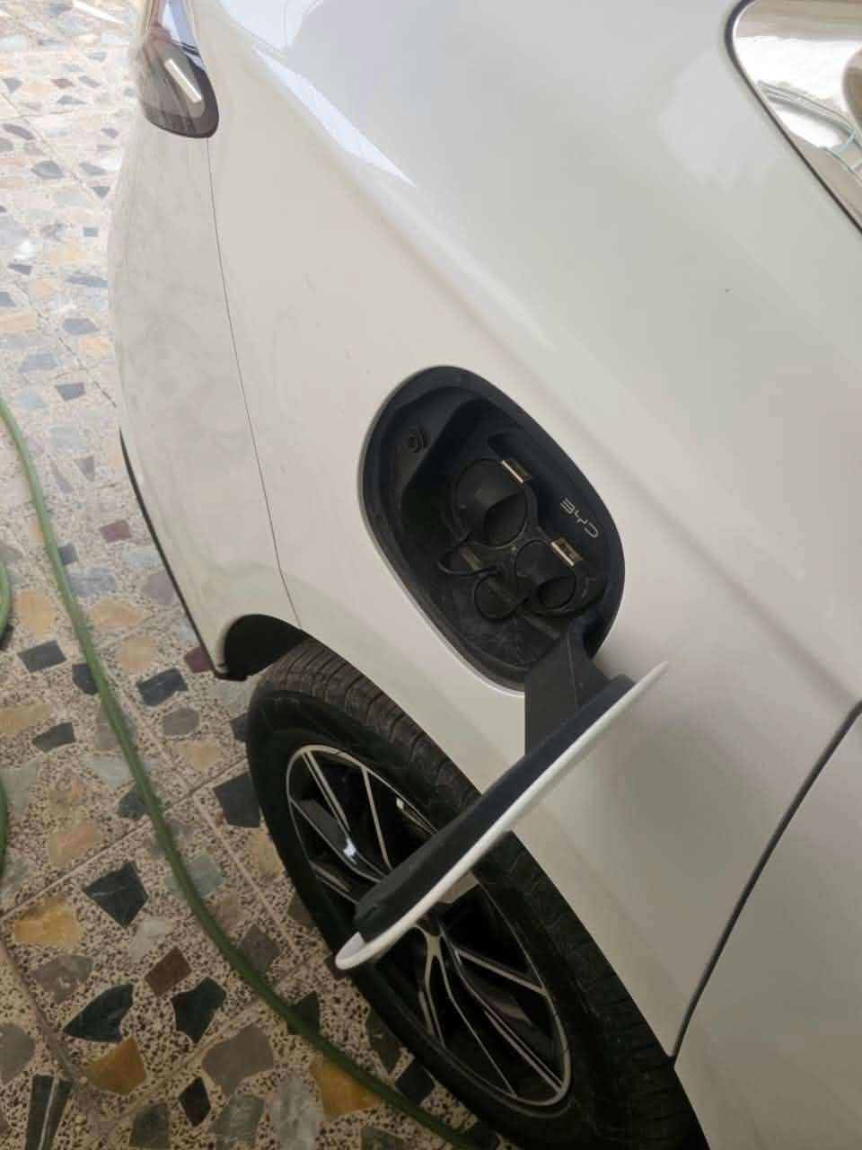 سيل ٦ • ٢٠٢٥ • ماشية ٤٢٠٠٠