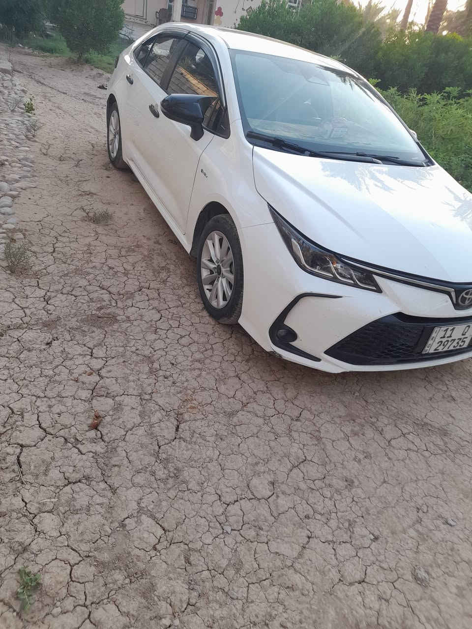 سلام عليكم كورله موديل ٢٤هايبردوضع شركه كل نقص مابيهه سعرهه ١٤٥وبيهه مجال قليل مكاني ديالى ستلام شركه بعدهه مطلوبه بس اسويلك وكاله مطلقه ***********
