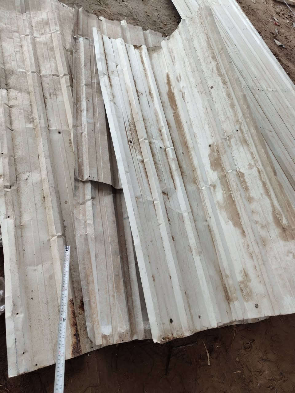 جينكو • ٦ ونص • بيبان