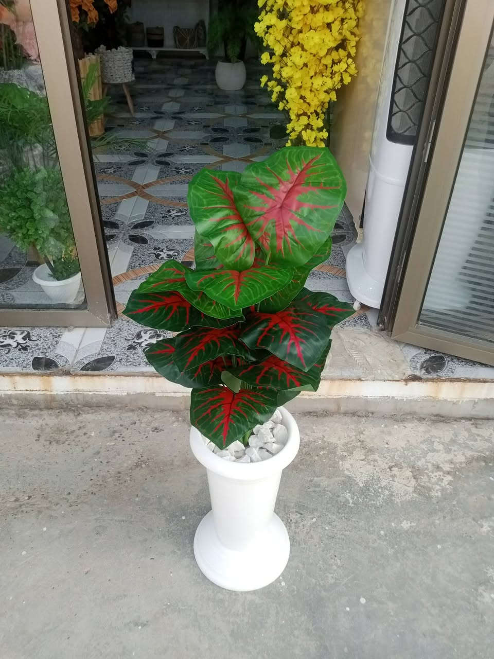 نباتات اصطناعية
نبات المطاط  18 ورقة تركيب الأوراق زيتية 🌱 🌱 وبدرجات ألوان متنوعة تناسب ذوقك وديكور بيتك أو مكتبك.
توصلكم كامله سندان قاعدة ديكور حجر طبيعي للتزيين حتى تنطيكم المظهر الطبيعي المكتمل بدون أي تعب أو عناية.
 مثالية للمكاتب، طاولات القهوة، الرفوف، أو كهدية لطيفة لأحبابكم.
نوصلها لباب بيتك وين ما تكون 🚚 🚚
#سعفة 🌿
للحجز دايركت او واتس*********** 
 توصيل متوفر لجميع المحافظات
