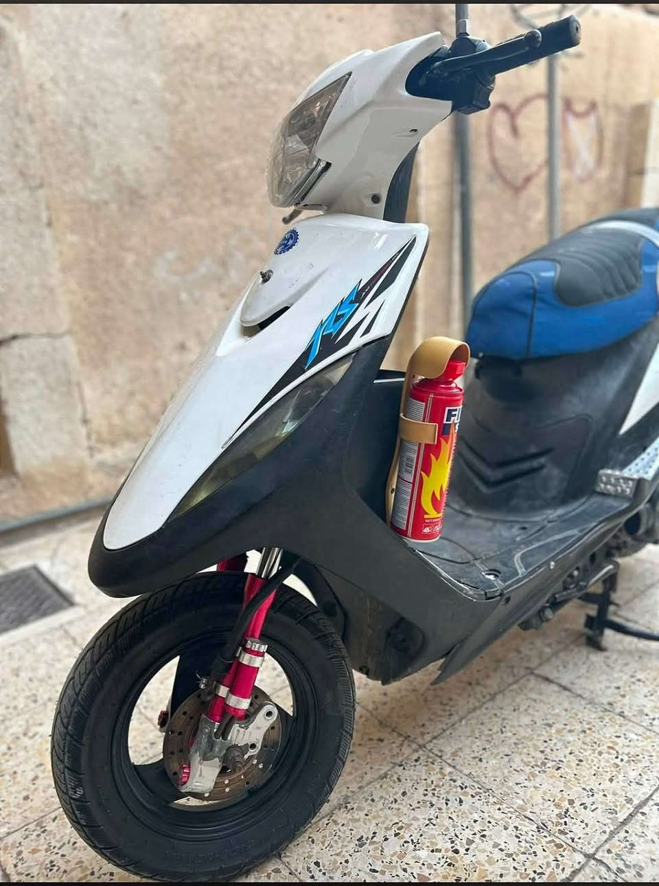 ماكس عدلة • قطع رياضي • بوشة ٥٥
