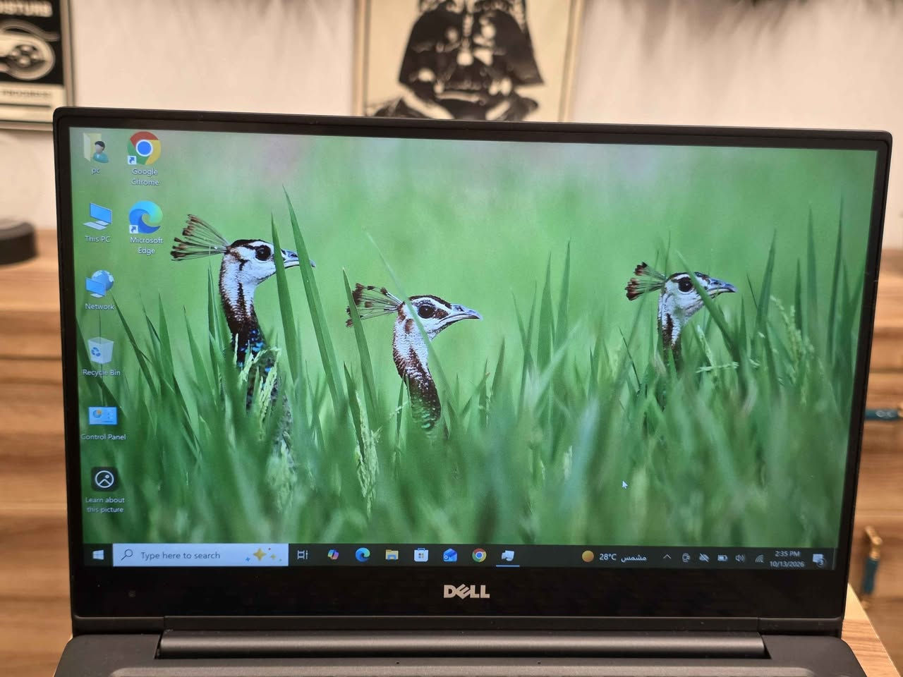 Dell 7370 • شاشة لمس 3k • ٨GB