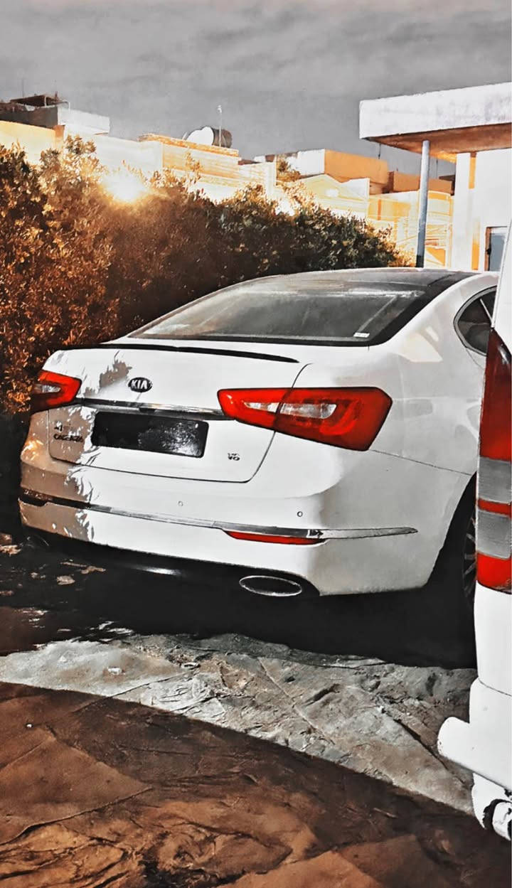 بونيت • سبوغ • أربيل