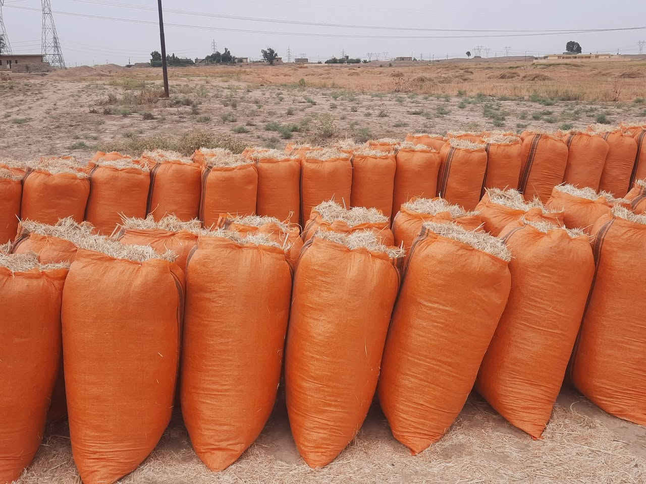 السلام عليكم يتوفر لدينا تبن درجة اولى تبن نضيف تبنه ناعمه شرط تفريق سعر زوج بل مكان 2500
***********
السلام عليكم يتوفر لدينا تبن درجة اولى تبن نضيف تبنه ناعمه شرط تفريق سعر زوج بل مكان 2500
