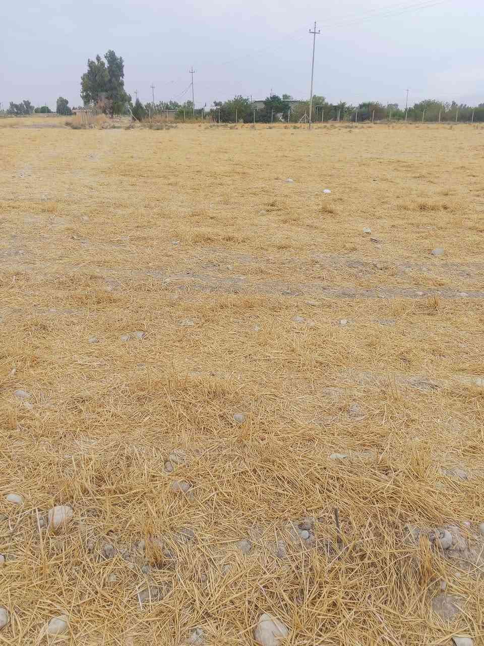 طابو اسود • ١٠٧٥٠م • كهرباء واصل