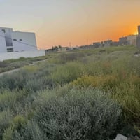 عندي( ⭕قطعةإرض⭕)🗺️ 🛑مستعجل🛑💸 سعر مناسب💸(للبيع) ⭕(نصف دونم) ⭕طابو زراعي...