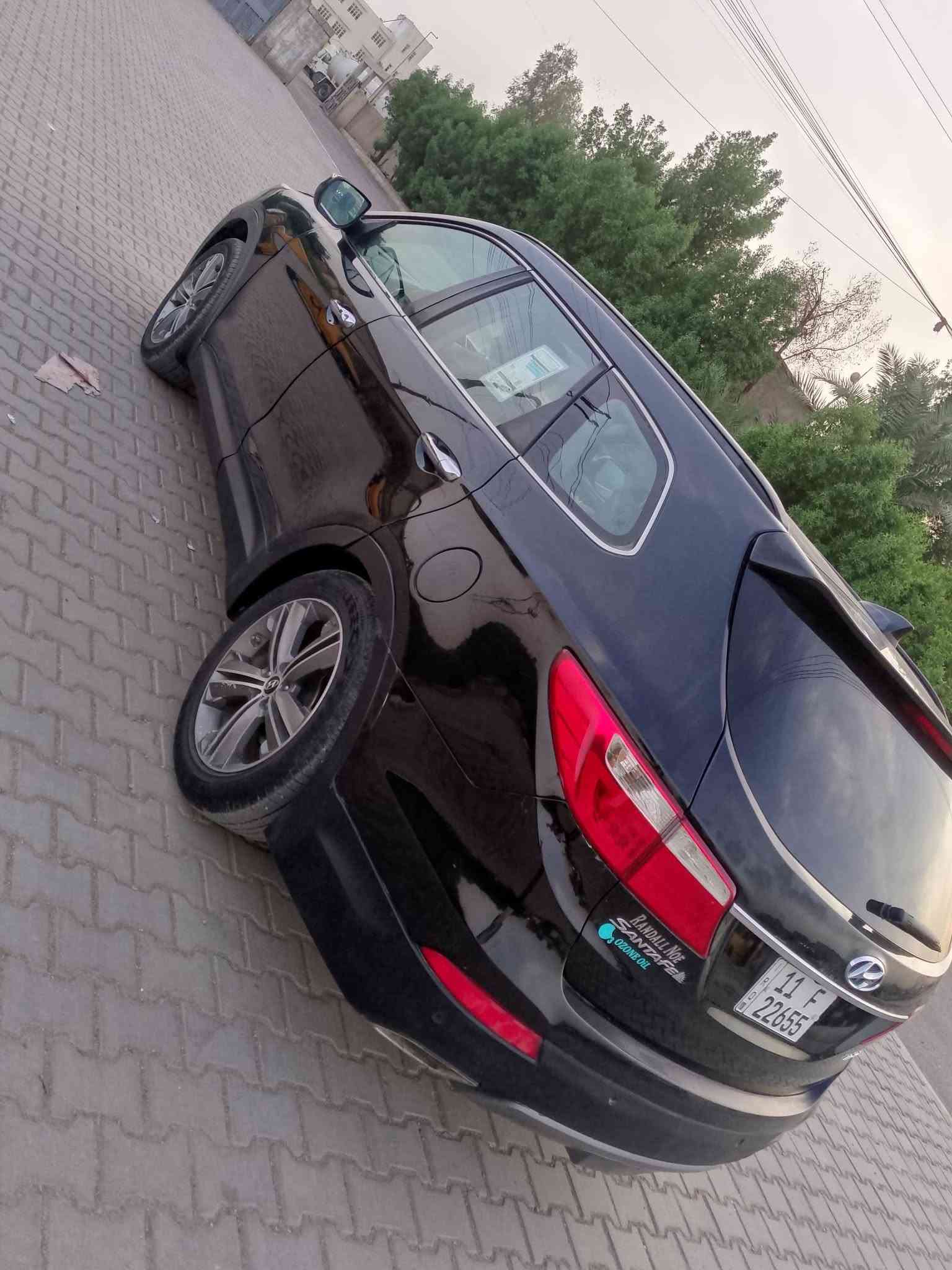 سنتافيا • ٢٠١٤ • قطعتين صبغ