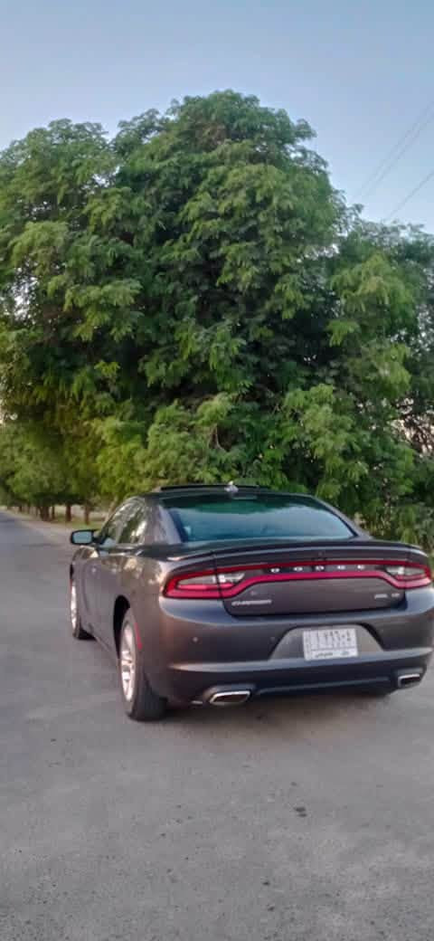 السلام عليكم
Dodge Charger 2016 Rallye
✨ سيارة مرتبة ونظيفة جداً، ومواصفاتها حلوة ومميزة.

🔹 الموديل: 2016
🔹 الفئة: Rallye
🔹 المحرك: 3.6 V6 Pentasta
🔹 الجير: أوتوماتيك 8 سرعات
🔹 دفع: [دفع خلفي / AWD]
🔹 فول مواصفات
🔹 شاشة ومزايا ترفيهية
🔹 صوت Beats
🔹 تحكم من الستيرن
🔹 رادار جانبي وخلفي ونقطه عمياء 
🔹 حادثه قطعه وحده فقط بنيد 
🔹 السيارة مثل ما مبين بالصور، محافظة ومرتبة
🔹 المكان: [بابل الحله]
🔹 للاستفسار: [***********]
