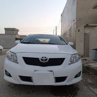 كورلا امريكي • ٢٠١٠ • بدون صبغ