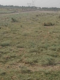 ارض زراعية • واسط الصويرة الرحمانية • ٤ دونم