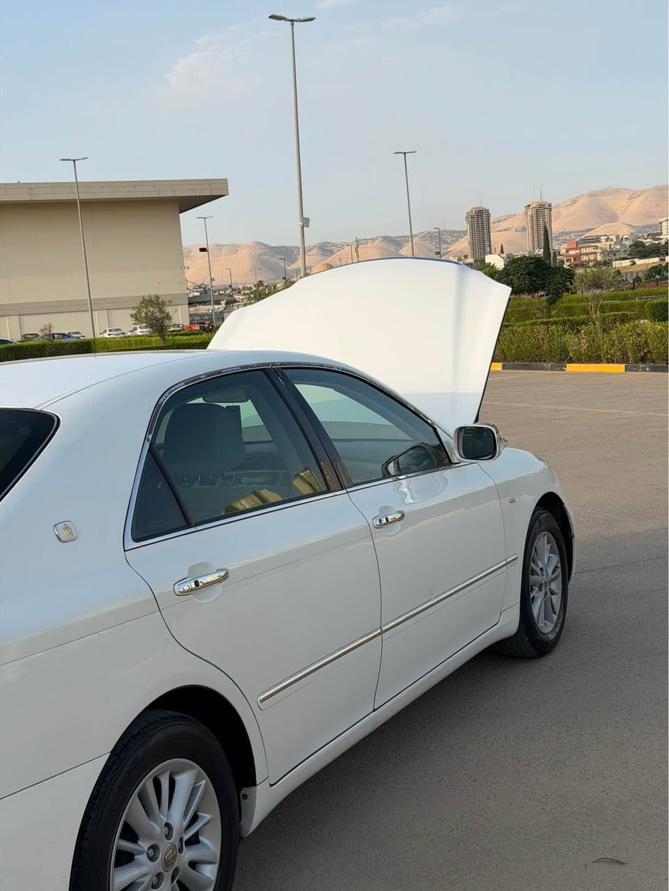 شوێن سلێمانی ژم  ***********
***********
شاهینە بڕاوە 
مۆدیل ٢٠٠٦ 
180 گێڕ گەورە ئاڵتونی بازاڕ 
دوو دوگمە
کوشن کارەبا 
ئاوێنە شەفت
ناوچەی کوێر 
تعدیل سورعە 
تەبرید ساردوو گەرم لەسەر سویچ 
سەیارەکە بێ مەسروفەو ماڵی دۆستە 
کۆدی بۆ کراوە بەیانی بچۆ بیکە بەناوتەوە
سعری ٤٨ گلاو معاملە بی دەعم بی لێ دراوی 
بی دووکەڵ یەک دینار مسرەفی تیدانیە السليمانية, العراق
