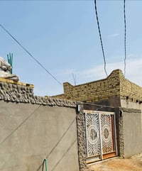 طريق حمزه نجف • ٣٢٥م • طابو زراعي