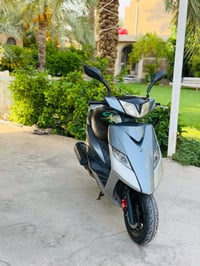 ثعلب • نوزل • جديده