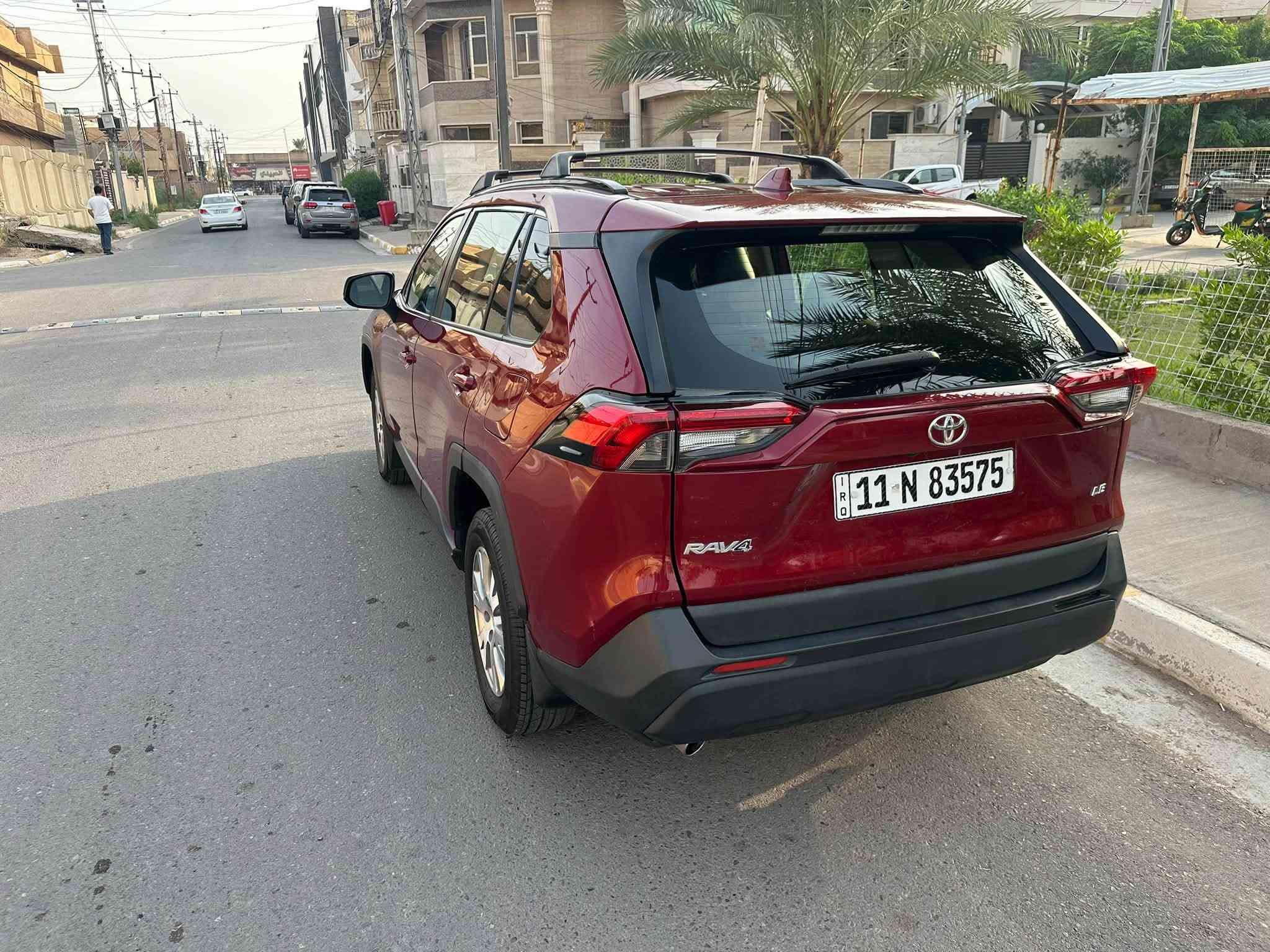 راف فور • ٢٠١٩ • بدون صبغ