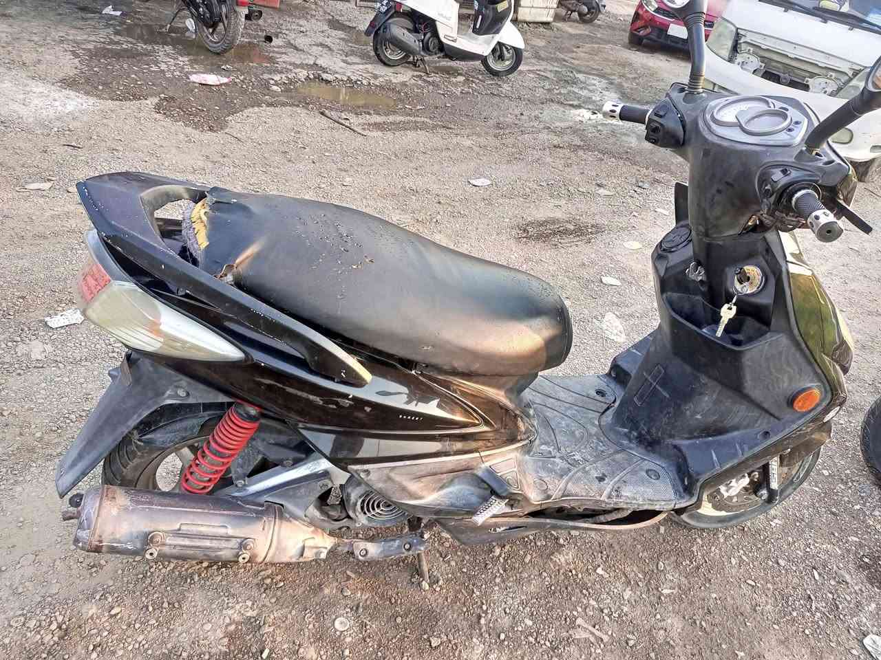 سكنس فحل طلاعات نوزل  شغالة تفحص  وتاخذها السعر 550 الاتصال *********** العنوان بغداد الشعلة
