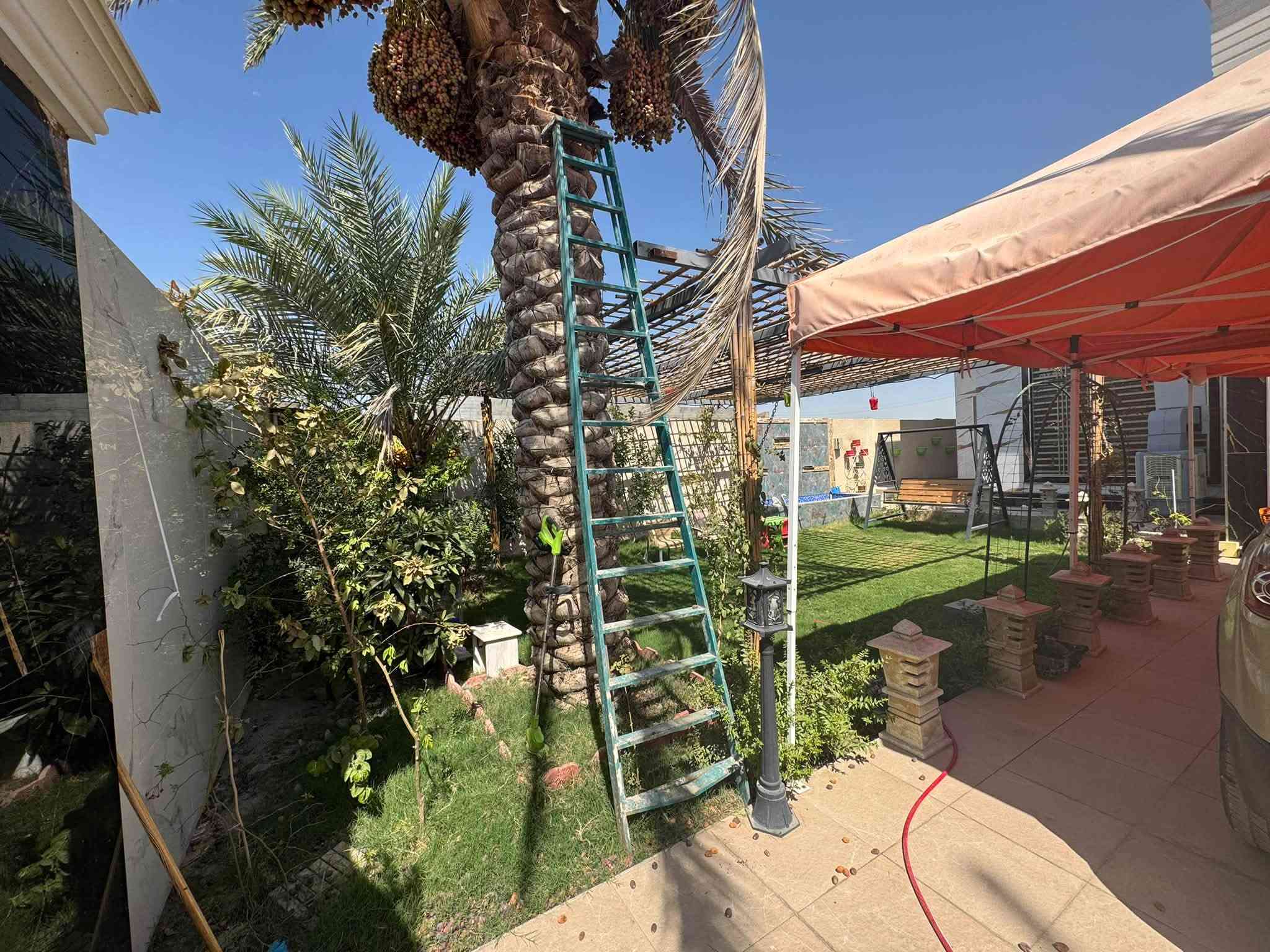 بل ابراهميه • ٥٠٠م • ٦غرف