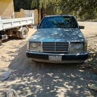 07813194503