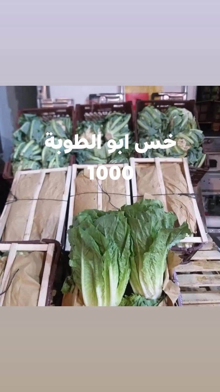 علوة بركات بسماية • خضار وفواكه • توصيل