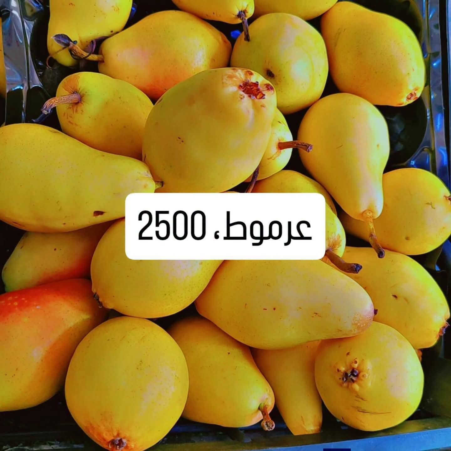 فواكه وخضار • رمان سوري • خس